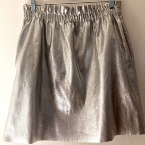 Silver Zara Miniskirt, Size L, New with Tags